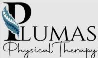 Plumas Physical Therapy image 1